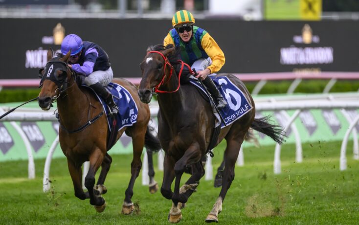 冤枉的无辜 冤枉的无辜