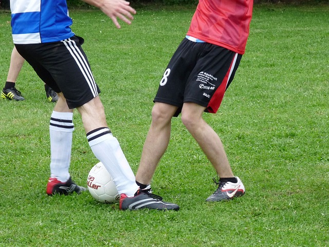 新的赢球模 新的赢球模