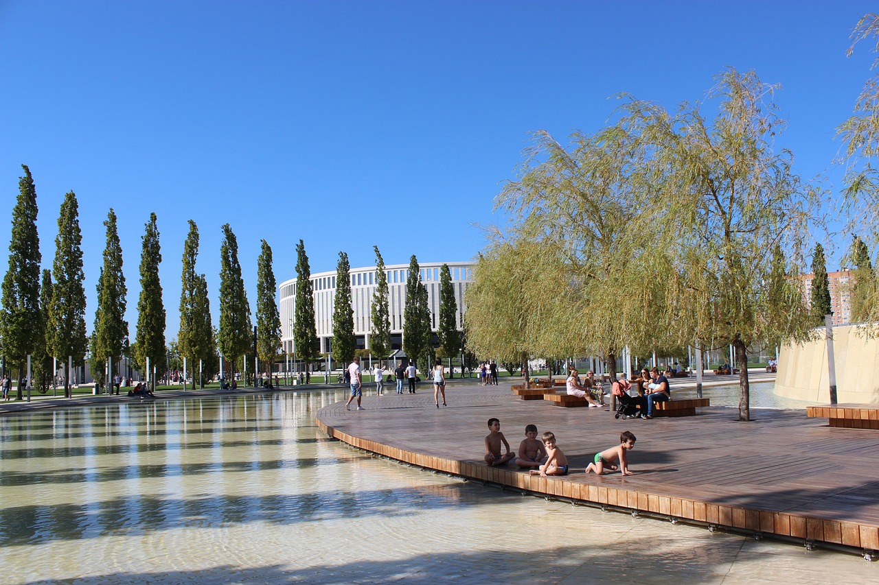 就可以决定 就可以决定