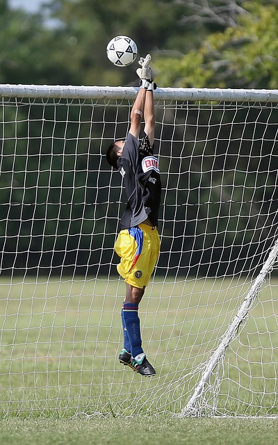 采的重要平 采的重要平