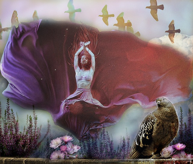 赛事门票 赛事门票